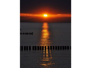 Holiday apartment Koserow Environment 19