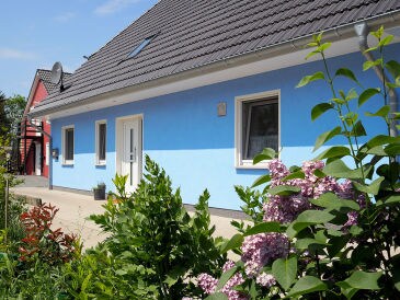 Ferienwohnung Ferienidyll Möwennest