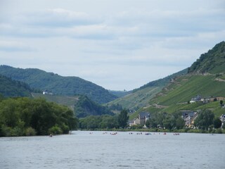 Das wunderschöne Moseltal