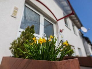 Haus Flora im  Frühling