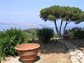 Villa Capoliveri Registrazione all'aperto 8