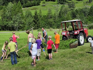 Casa per le vacanze Mörtschach Ambiente 17