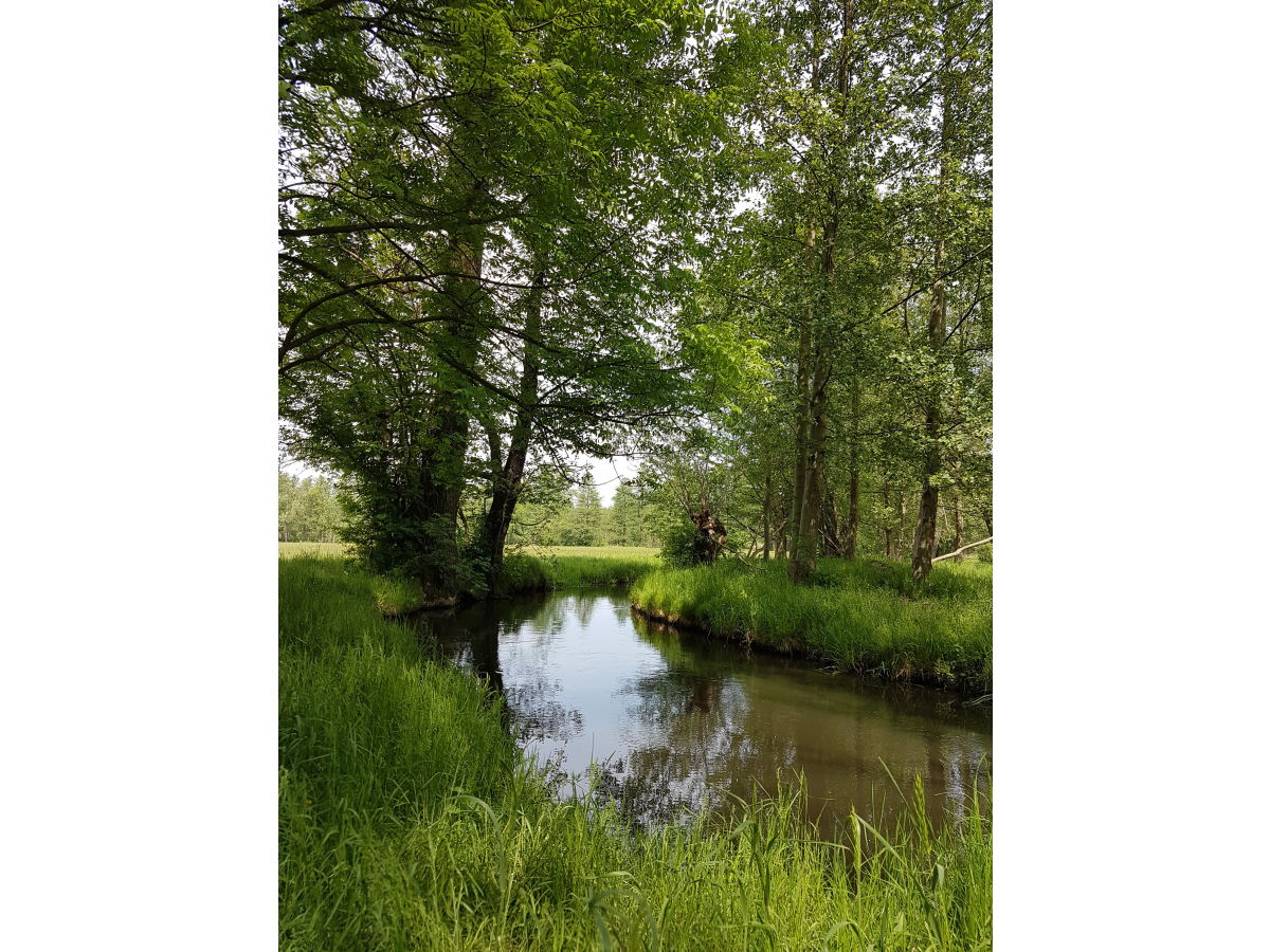 Frühling im Spreewald