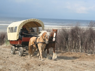 Ferienwohnung Juist Umgebung 57