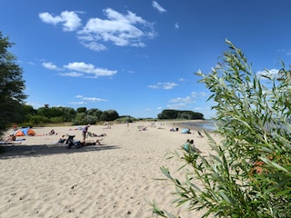 Direkt am langen Elbstrand