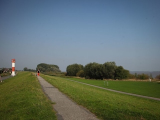 Elbdeich mit Leuchttunr