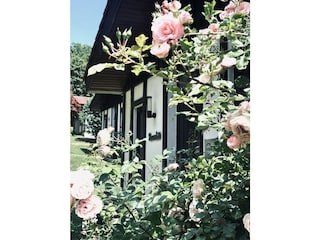 Rosenduft
