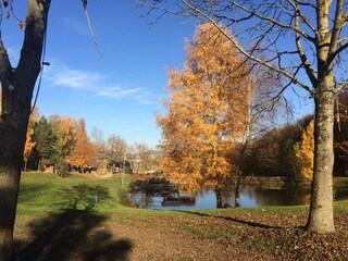 Herbst am See
