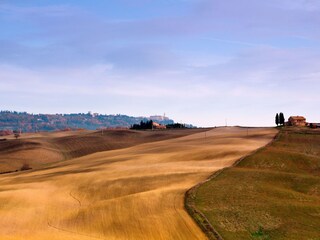 Casa per le vacanze Bucine Ambiente 20