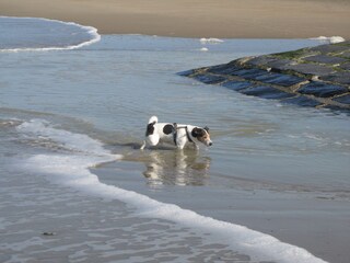 Casa per le vacanze Bredene Ambiente 17
