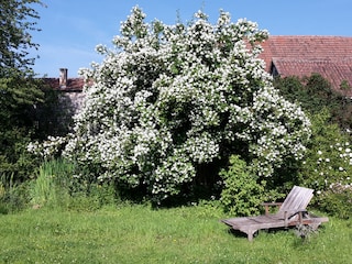 Erholung im Garten