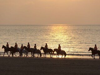 Appartamento per vacanze Den Haag Ambiente 21