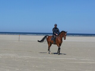 Casa per le vacanze Borkum Ambiente 16