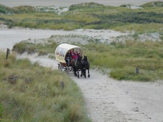 Casa de vacaciones Borkum Entorno 22