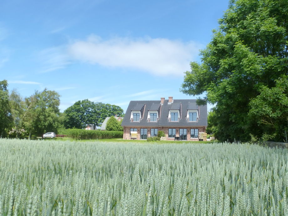 Ferienhaus zimmermann sylt m70/1, sylt firma immobilien und ... In zimmermann schlafzimmer