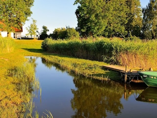Der Uferbereich in der Abendsonne