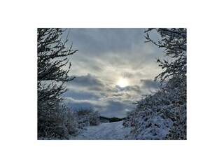 Holiday apartment Schleiden Document 42