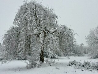 Holiday apartment Schleiden Document 43