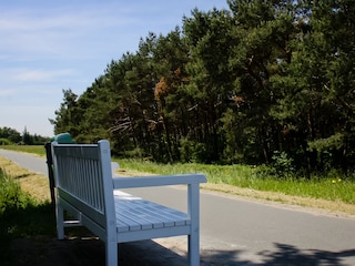 Deich für lange Radtouren vor dem Haus