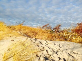 Wilder Weststrand