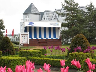 Der riesige Strandkorb an der Seebrücke Heringsdorf
