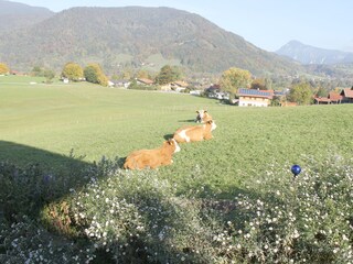 Herbst