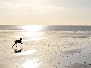 Casa vacanze Saint-Lô-d'Ourville Ambiente 15