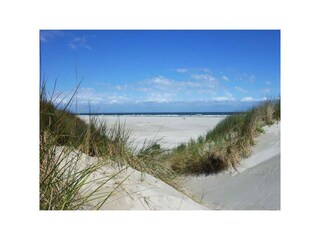 Holiday apartment Egmond aan Zee Environment 24