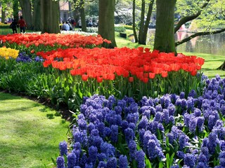 Vakantieappartement Noordwijk Omgeving 26