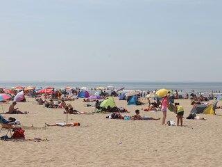 Vakantieappartement Noordwijk Omgeving 18