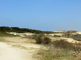 Vakantieappartement Noordwijk Omgeving 24