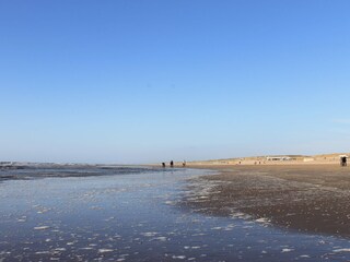 Vakantieappartement Noordwijk Omgeving 22