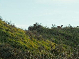 Vakantieappartement Noordwijk Omgeving 25