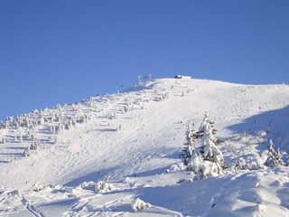 Skigebiet Winklmoosalm/Steinplatte