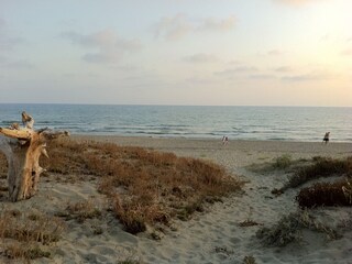 beach in front of the house