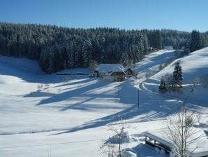 Ferienwohnung Schwalbennest auf dem Mooshof - Dreisamtal - image1