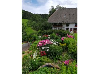 unser Bauerngarten