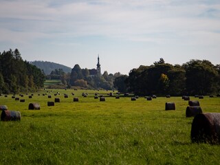 Villa Brod nad Tichou Außenaufnahme 11