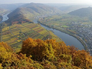 Appartamento per vacanze Bremm Ambiente 19