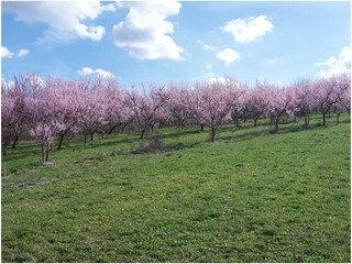 Appartamento per vacanze Bremm Ambiente 20