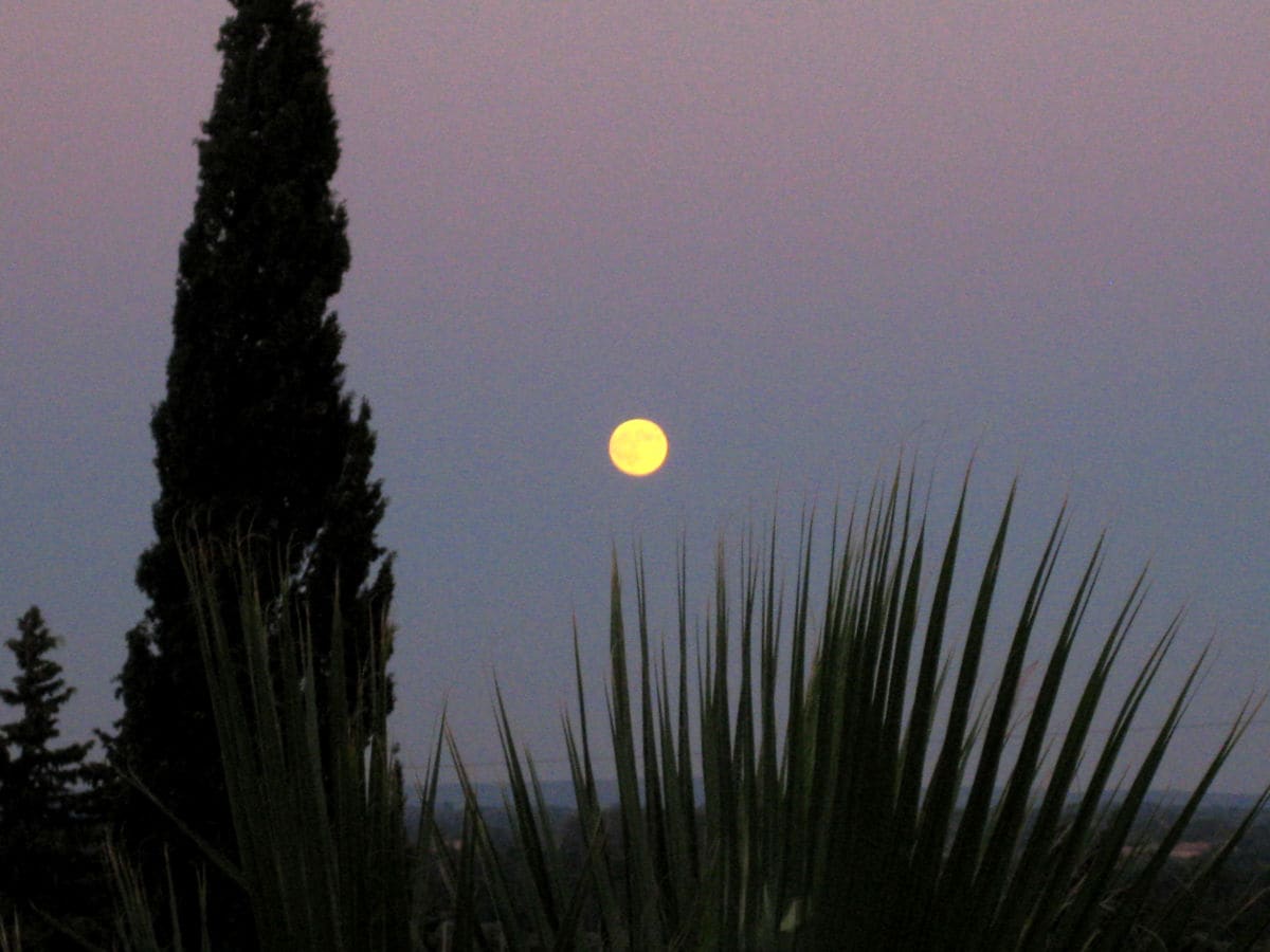 "La pleine lune"- Vollmond über "Le Mûrier"