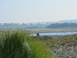 Bungalow Cadzand-Bad Omgeving 30