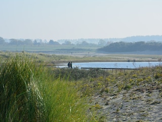 Roulotte Cadzand-Bad Ambiente 29