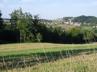 Blick auf Großschönach