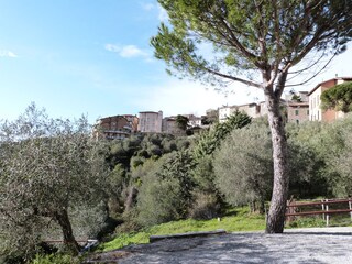 Maison de vacances Seggiano Environnement 18