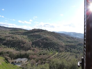 Casa de vacaciones Seggiano Entorno 19