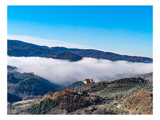 Casa de vacaciones Seggiano Entorno 20