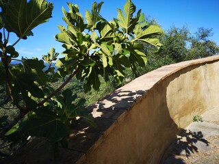 Casa de vacaciones Seggiano Grabación al aire libre 3