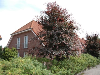 Haus Windhuk