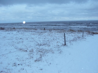 Winteridylle am Strand von Baabe